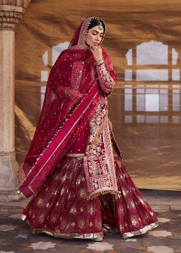 Hussain Rehar Luxury Festive 2024 | Gulal - Image 6