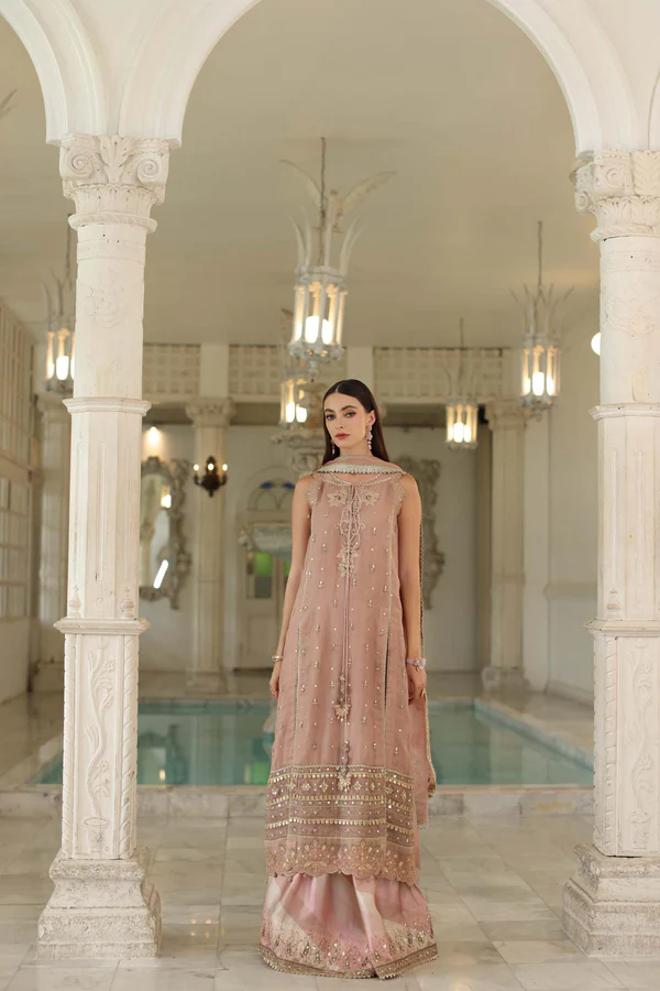 Noor Noor Festive '25 | Saadi Aasad | D4 - Tea Pink - Image 3