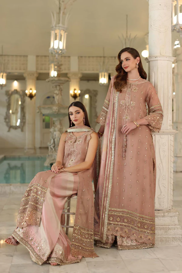 Noor Noor Festive '25 | Saadi Aasad | D4 - Tea Pink - Image 4