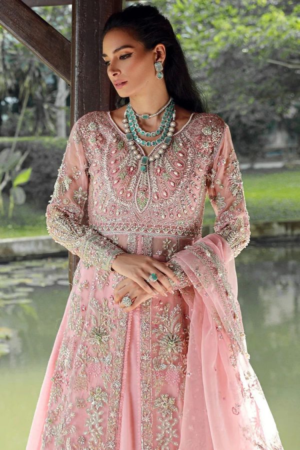 Enaara - Our First Chapter Festive Collection Vol 1 | D 03 - Image 4