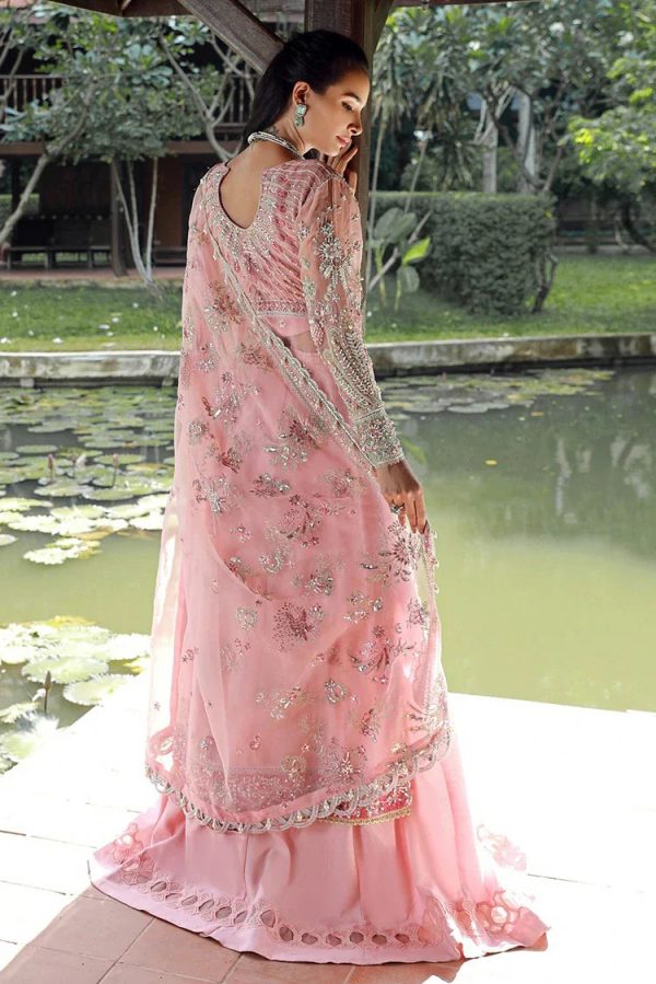 Enaara - Our First Chapter Festive Collection Vol 1 | D 03 - Image 2