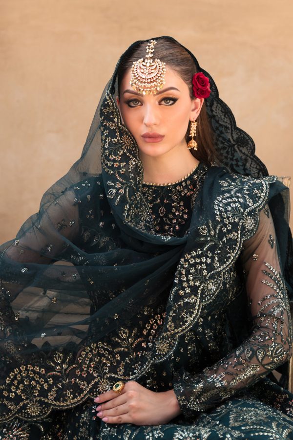 Ayzel Pehli Nazar 24 | FARIDA - Image 2