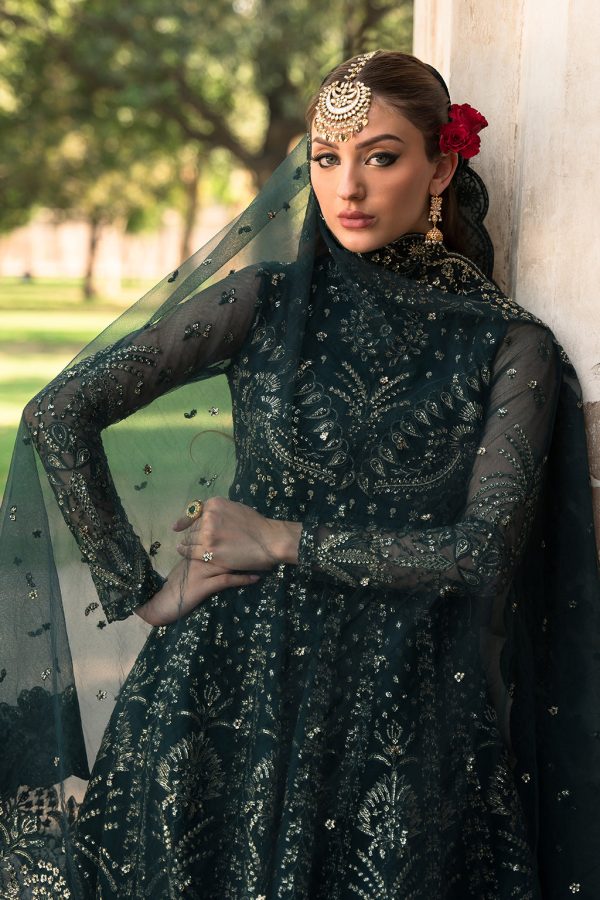 Ayzel Pehli Nazar 24 | FARIDA - Image 6