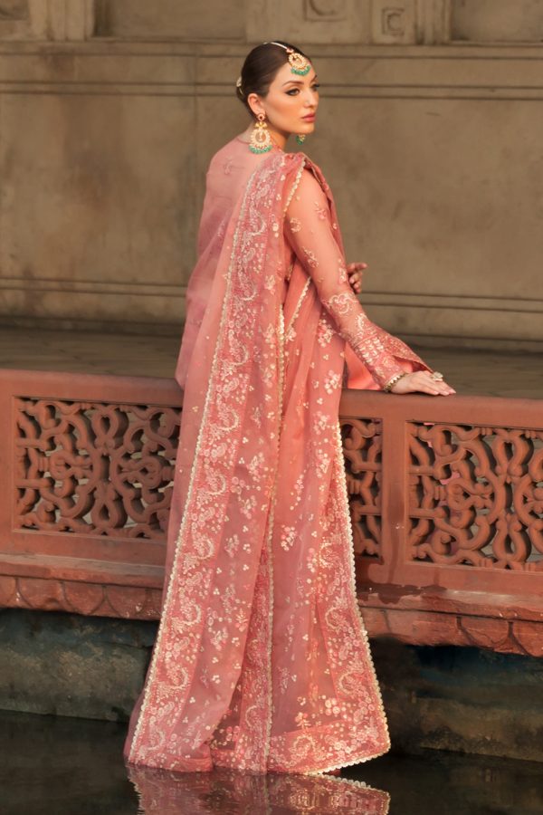 Ayzel Pehli Nazar 24 | RUKHSAR - Image 5
