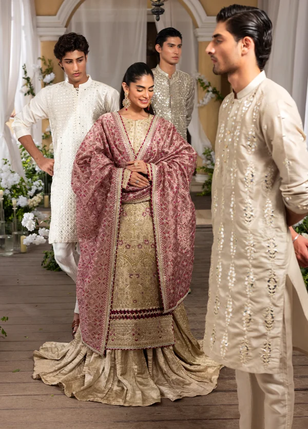 Haye Dil Unstitched Wedding Formals by Sahane | CT 29005 - Image 2