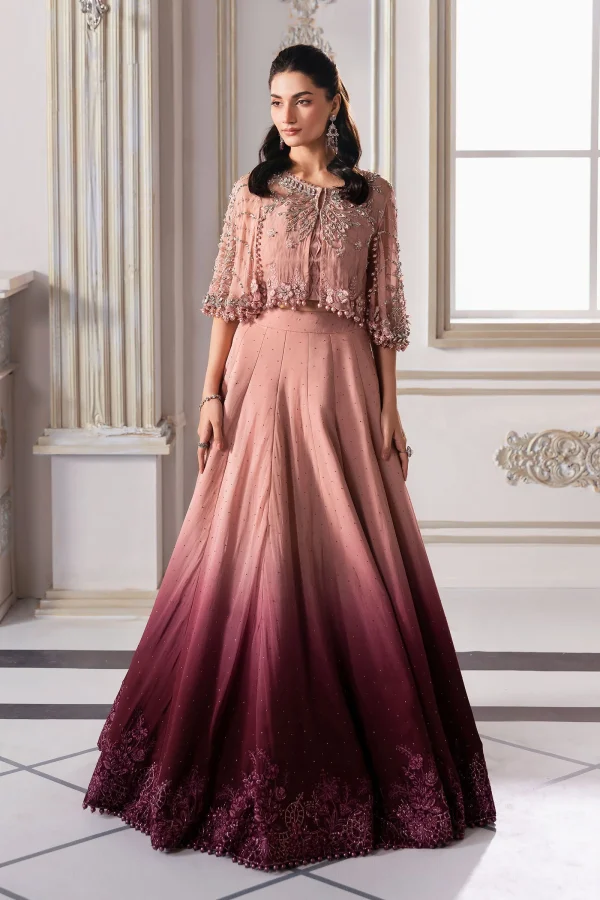 MARIA B Mbroidered Collection 2025 | BD-3001 - Image 3