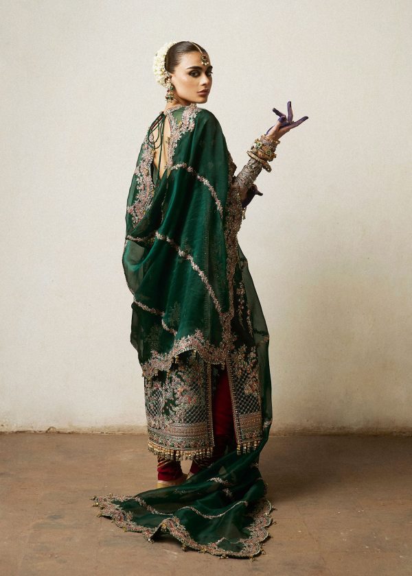 Hussain Rehar Wedding Festive   | Jamali - Image 3