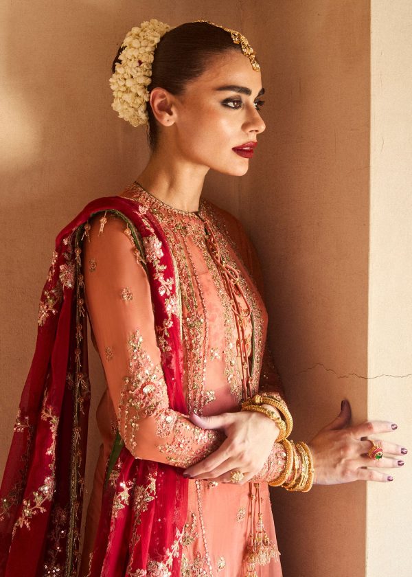 Hussain Rehar Wedding Festive   | Romawi - Image 3