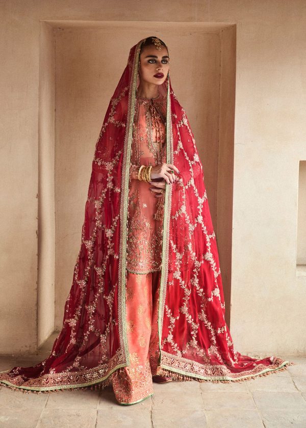 Hussain Rehar Wedding Festive   | Romawi - Image 5