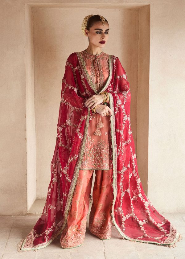 Hussain Rehar Wedding Festive   | Romawi - Image 2