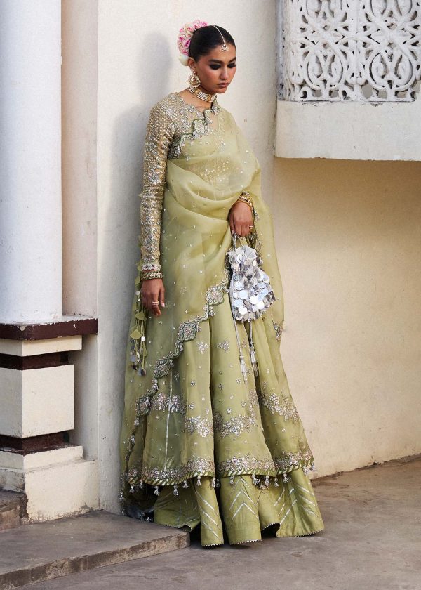 Darlings Festive 2025 Collection by Hussain Rehar | Tahiri - Image 2
