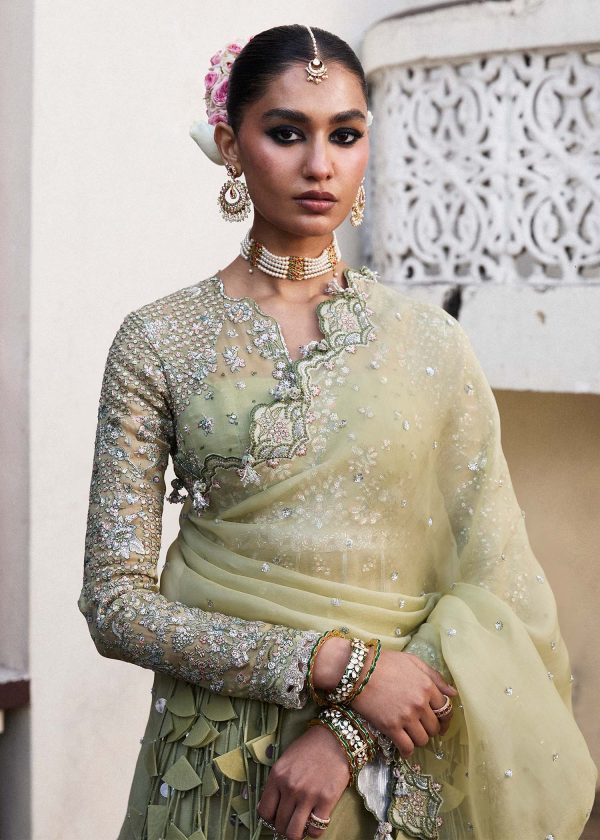 Darlings Festive 2025 Collection by Hussain Rehar | Tahiri - Image 6