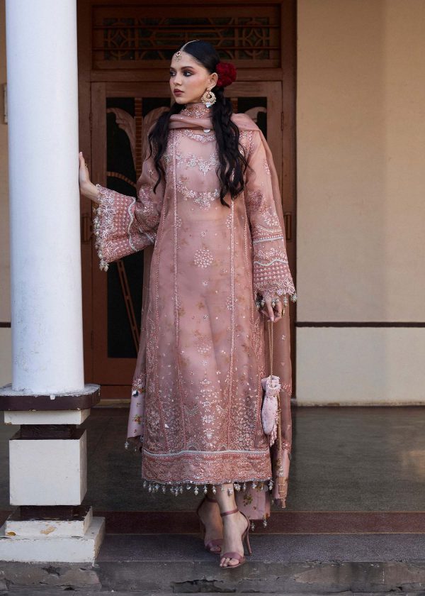 Darlings Festive 2025 Collection by Hussain Rehar | Danara - Image 6