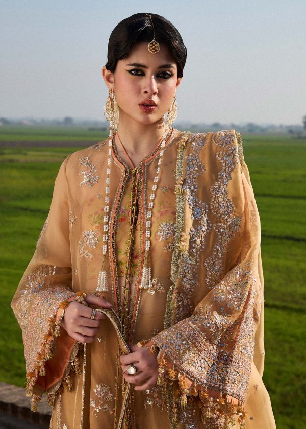 Darlings Festive 2025 Collection by Hussain Rehar | Sundal - Image 4