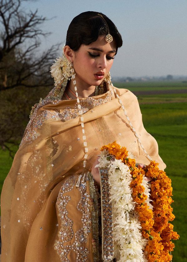 Darlings Festive 2025 Collection by Hussain Rehar | Sundal - Image 5
