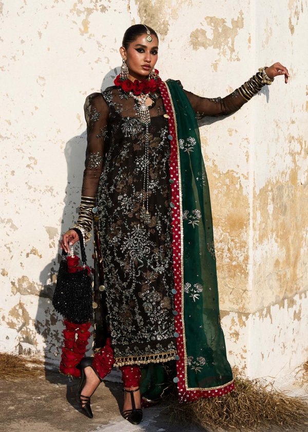 Darlings Festive 2025 Collection by Hussain Rehar | Shama - Image 4