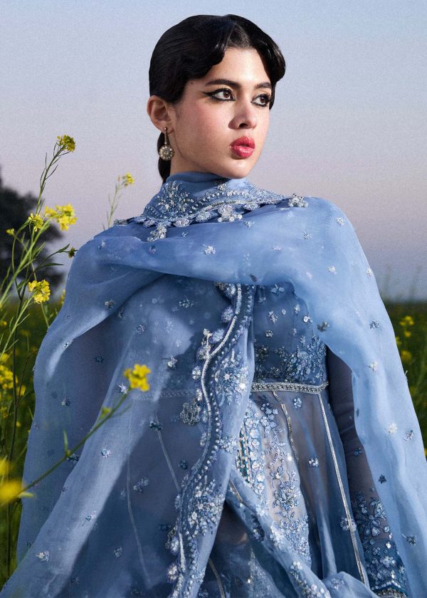 Darlings Festive 2025 Collection by Hussain Rehar | Mira - Image 3