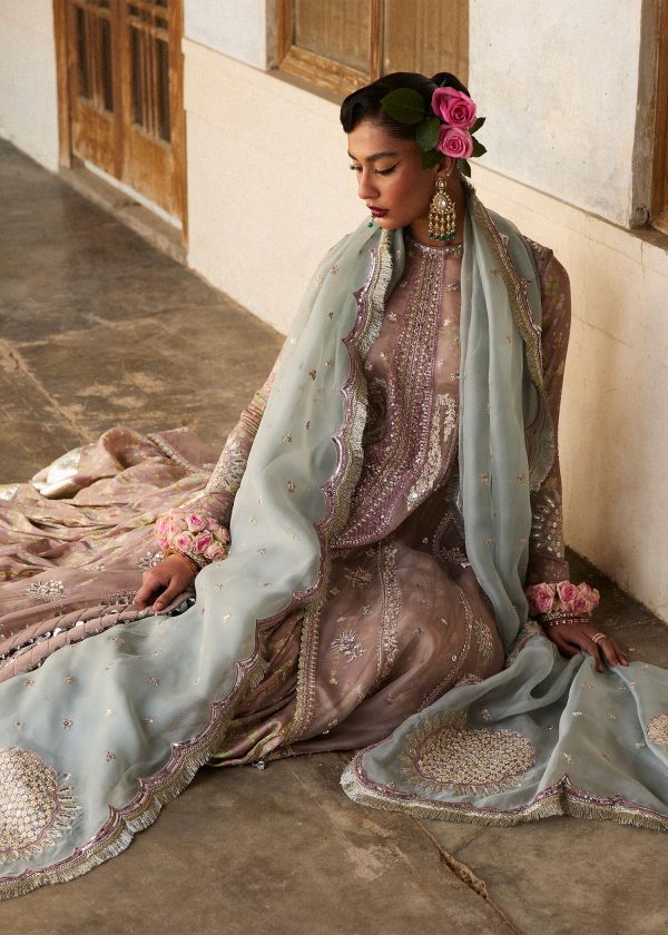Darlings Festive 2025 Collection by Hussain Rehar | Ziniya - Image 5