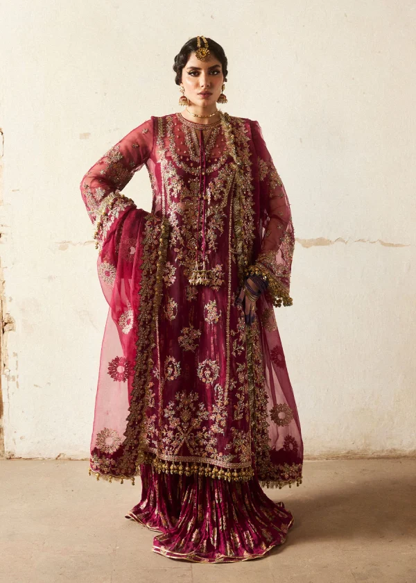 Hussain Rehar Wedding Festive   | Aabni - Image 4