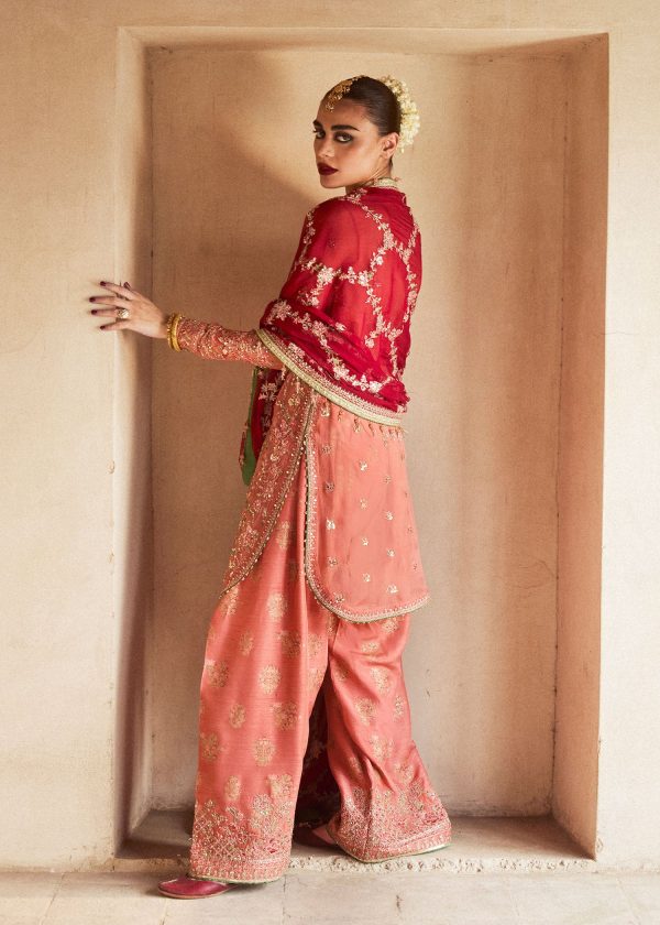 Hussain Rehar Wedding Festive   | Romawi - Image 4