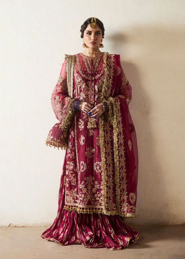 Hussain Rehar Wedding Festive   | Aabni - Image 2