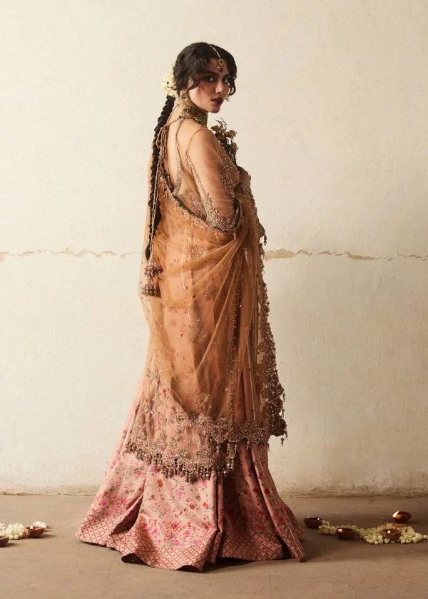 Hussain Rehar Wedding Festive   | Raitla - Image 3
