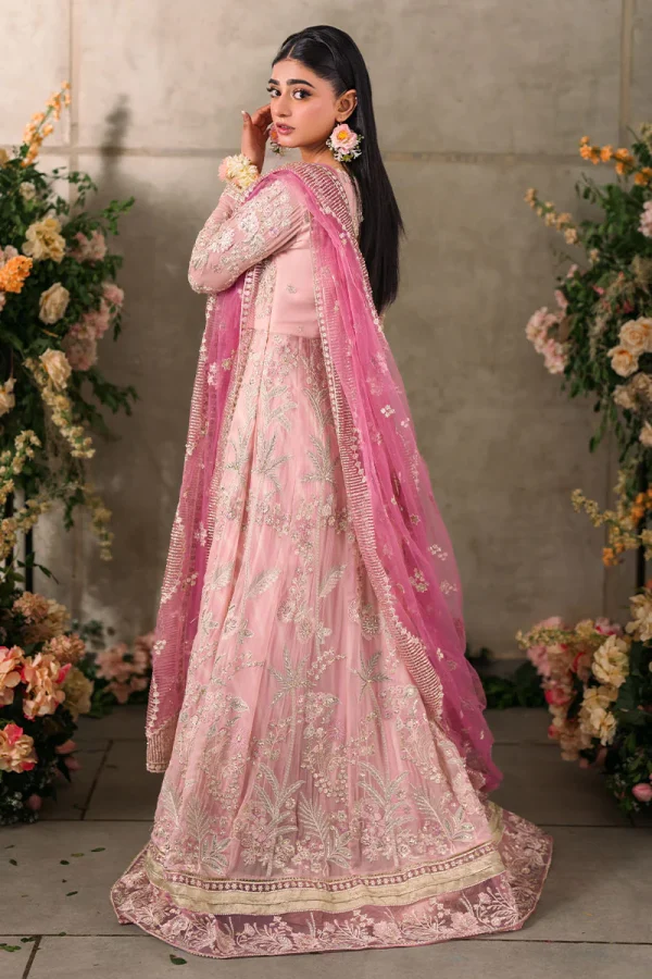 Mastani Evening Chiffon Collection by Mushq | Maisha - Image 2