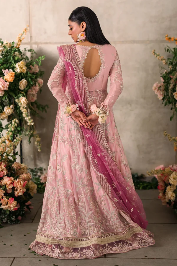 Mastani Evening Chiffon Collection by Mushq | Maisha - Image 3