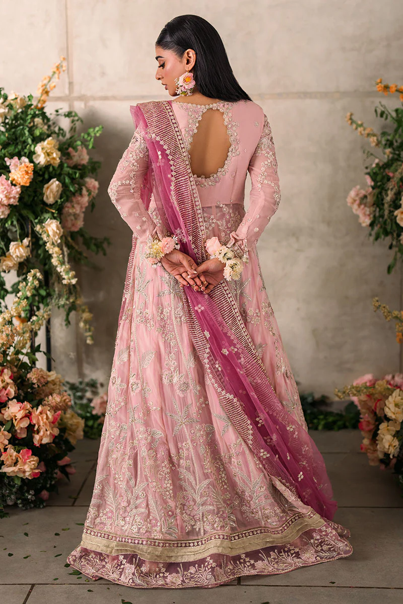 Mastani Evening Chiffon Collection by Mushq | Maisha - Image 3