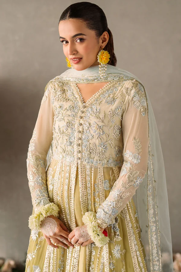 Mastani Evening Chiffon Collection by Mushq | Hira - Image 4