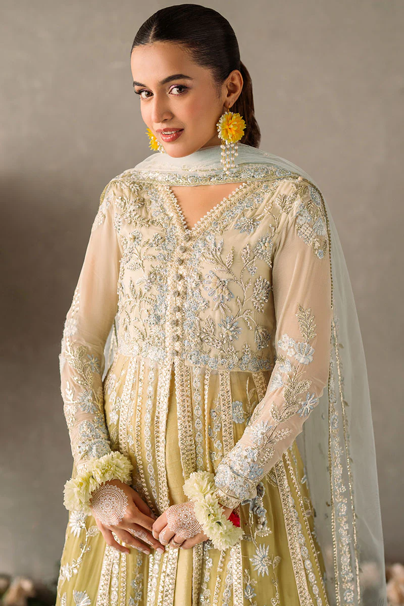 Mastani Evening Chiffon Collection by Mushq | Hira - Image 4