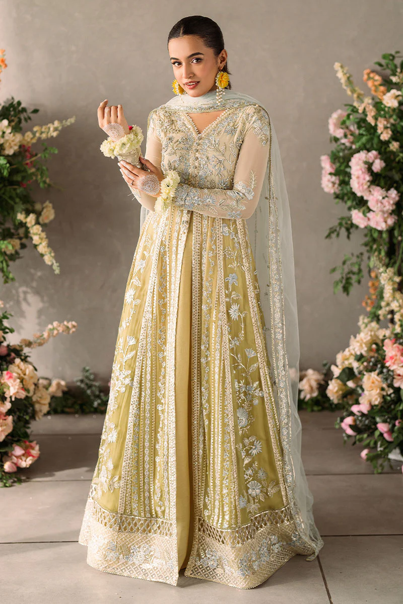 Mastani Evening Chiffon Collection by Mushq | Hira - Image 3
