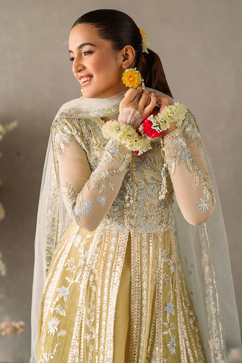 Mastani Evening Chiffon Collection by Mushq | Hira - Image 5