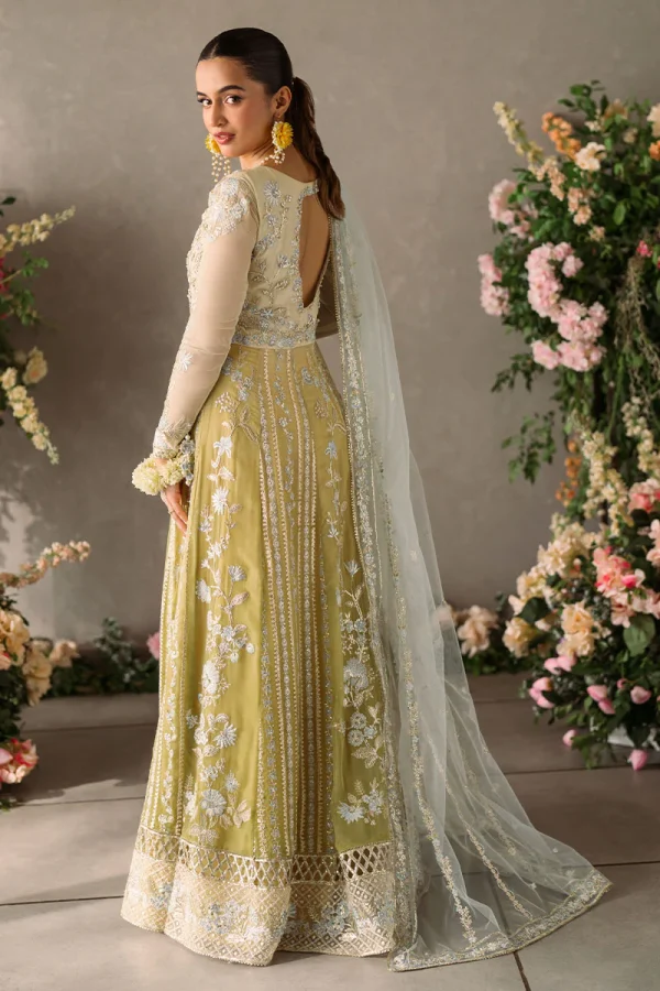 Mastani Evening Chiffon Collection by Mushq | Hira - Image 2