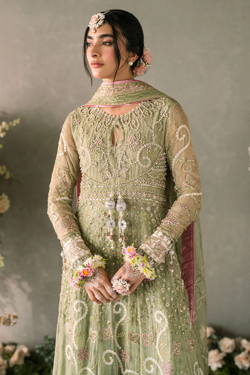 Mastani Evening Chiffon Collection by Mushq | Namar - Image 5