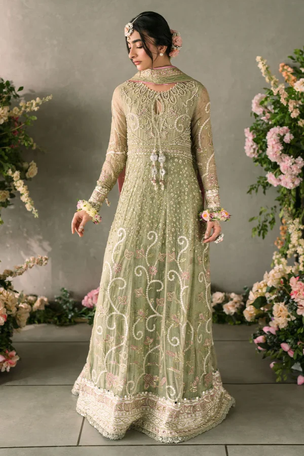 Mastani Evening Chiffon Collection by Mushq | Namar - Image 4