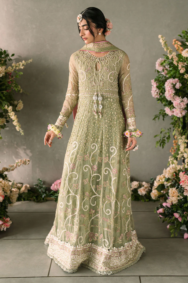 Mastani Evening Chiffon Collection by Mushq | Namar - Image 4