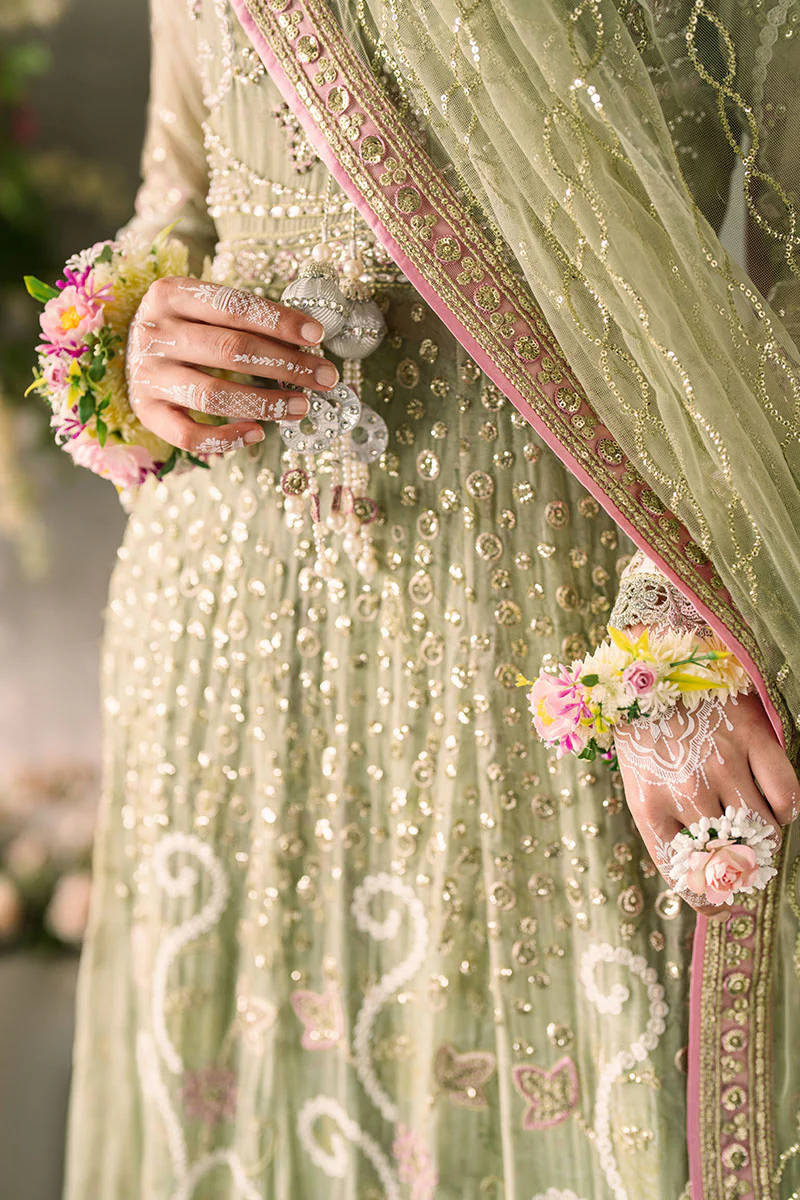 Mastani Evening Chiffon Collection by Mushq | Namar - Image 7
