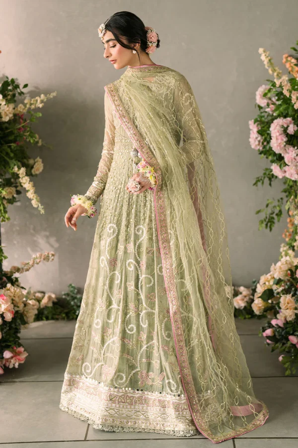 Mastani Evening Chiffon Collection by Mushq | Namar - Image 3
