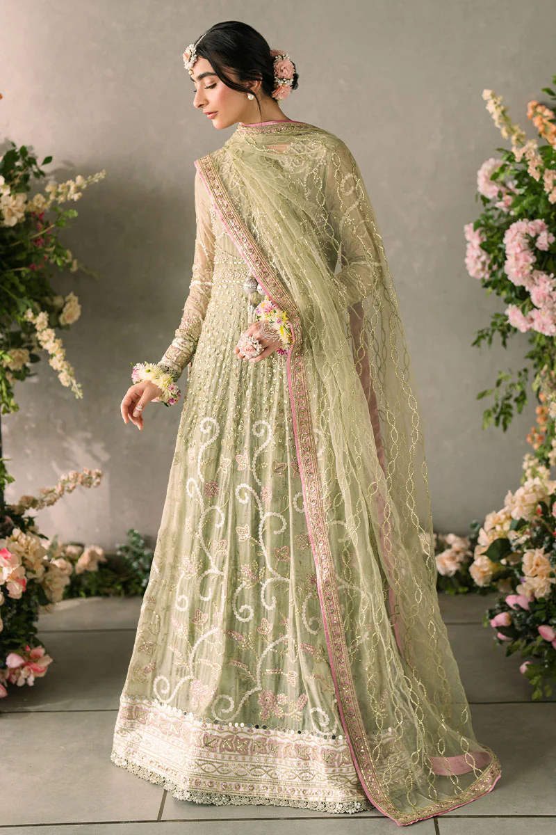 Mastani Evening Chiffon Collection by Mushq | Namar - Image 3