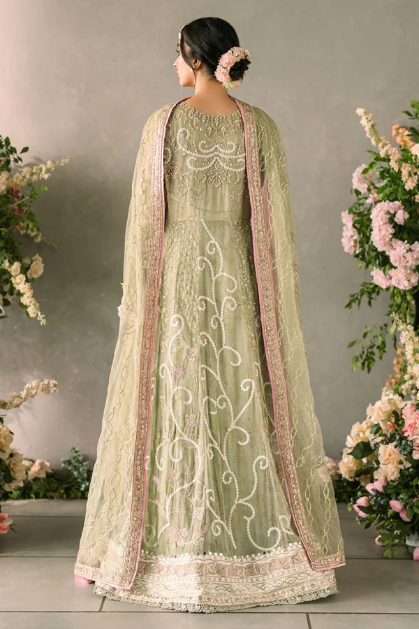 Mastani Evening Chiffon Collection by Mushq | Namar - Image 2