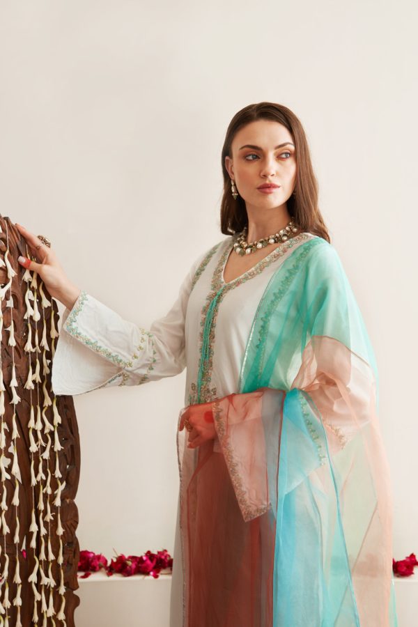 Nawaabzadiyaan Festive Collection by House of Mist | HM-NZ-04 - Image 5
