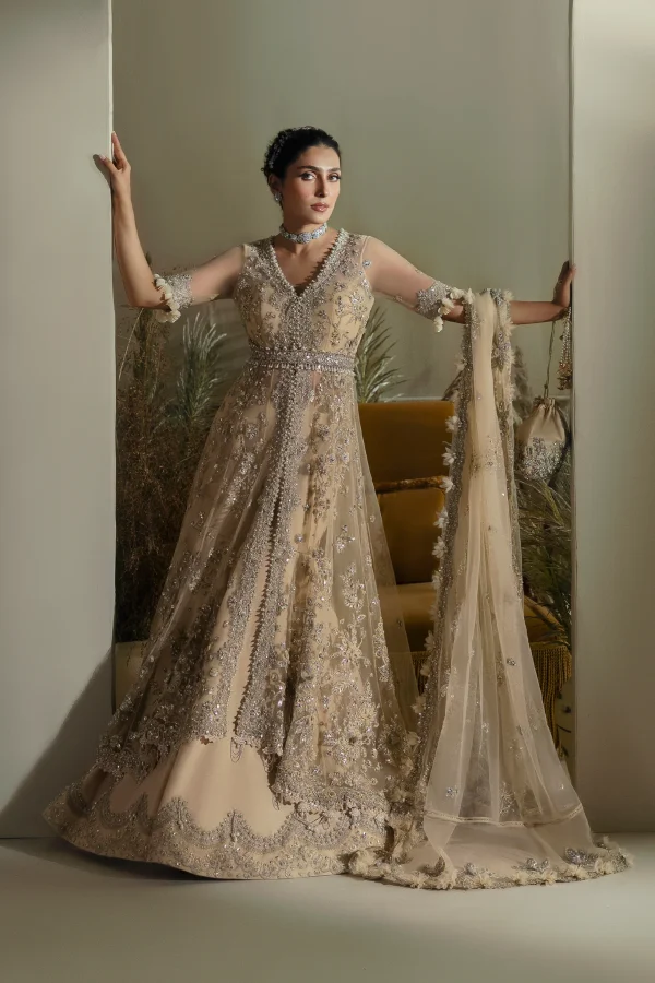 Elan Wedding Festive   | EC24-08 - Image 2