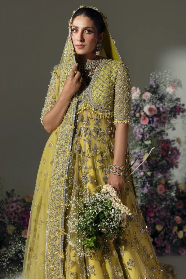 Elan Wedding Festive   | EC24-03 - Image 2