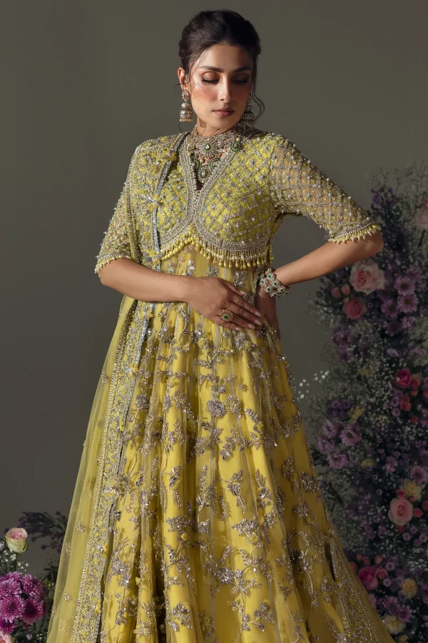 Elan Wedding Festive   | EC24-03 - Image 5