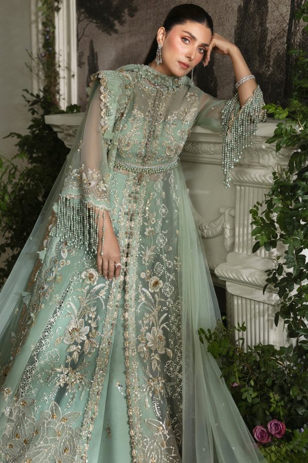 Elan Wedding Festive   | EC24-06 - Image 4