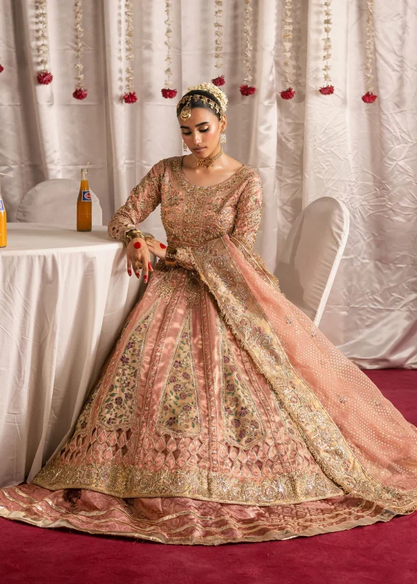 Jhul Mil Wedding by Maria Osama Khan | Shehnai - Image 4