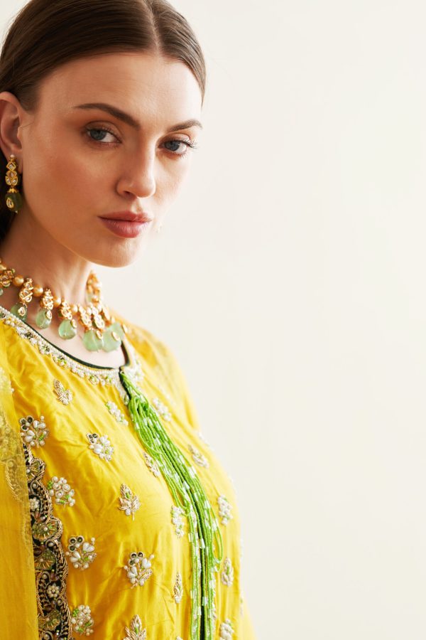 Nawaabzadiyaan Festive Collection by House of Mist | HM-NZ-01 - Image 11