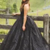 Glitter Tulle Sweetheart Black Long Quinceanera Dresses