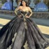 Black Long Sleeves Strapless Quinceanera Dresses with Appliques | Western Wear